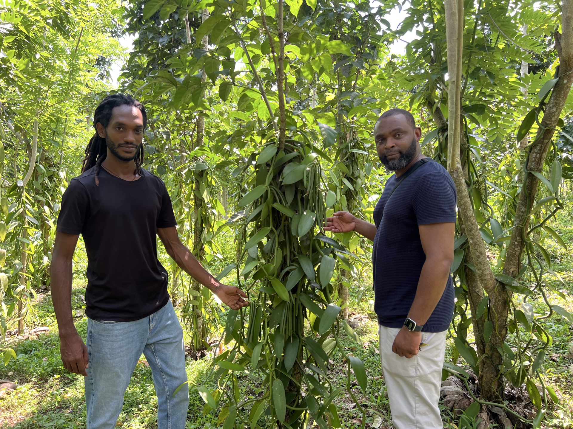 Our team at the vanilla plantation